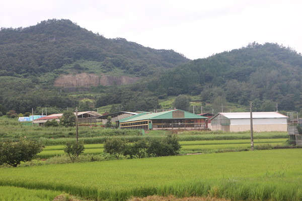 무안읍 성암리 농장